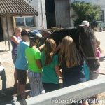 Ferienwoche Montag Nachmittag Reiten