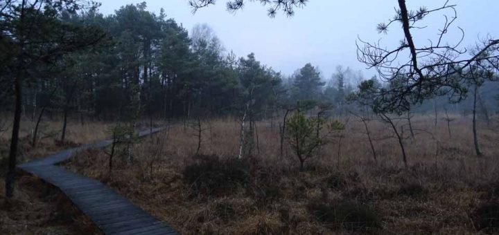 Moorwanderung
