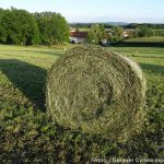 Herbst Impressionen (1 von 18)