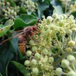 Herbst Impressionen (10 von 18)