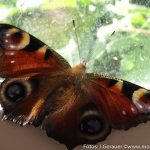 Herbst Impressionen (2 von 18)