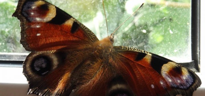 Herbst Impressionen (2 von 18)