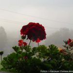 Herbst Impressionen (7 von 18)