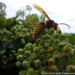 Herbst Impressionen (8 von 18)