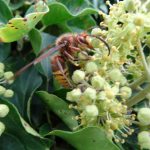 Herbst Impressionen (9 von 18)