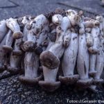 Guate Geschicht Christine Nobis (9 von 9)