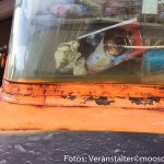 Alter Traktor (4 von 8)