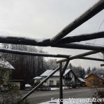 Schulgarten und Pergola (1 von 3)