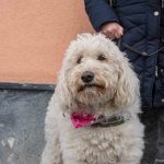 VS Umzug Moosdorf (57 von 61)