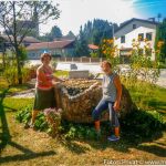 Schulgarten (1 von 4)