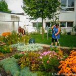 Schulgarten (3 von 4)