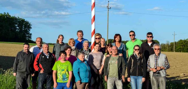 Mühlbachstraße Maibaum (1 von 4)