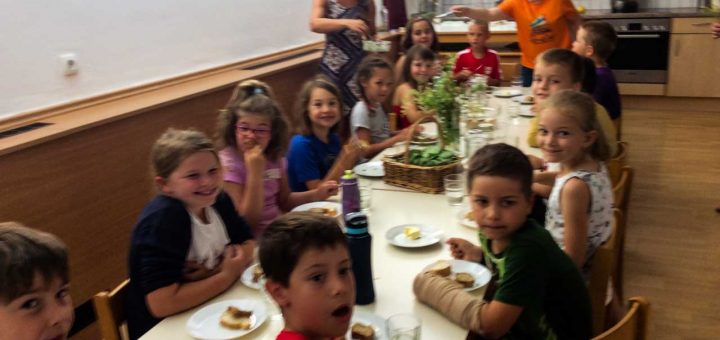 Kräuterwanderung (1 von 1)