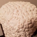 Argauer Vernissage IKG (5 von 8)