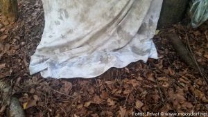 Zecken - der Leintuchtest von Helmut Peterlechner