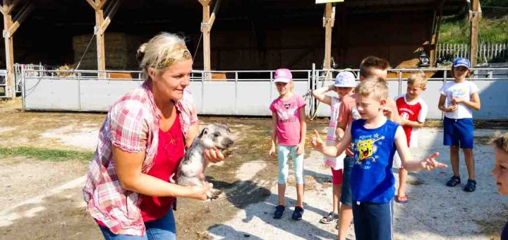 Bauernhof Fuchs Ferienprogramm (10 von 14)