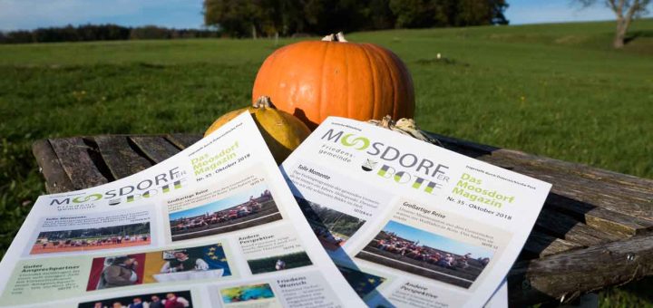 Herbst Bote (1 von 1)