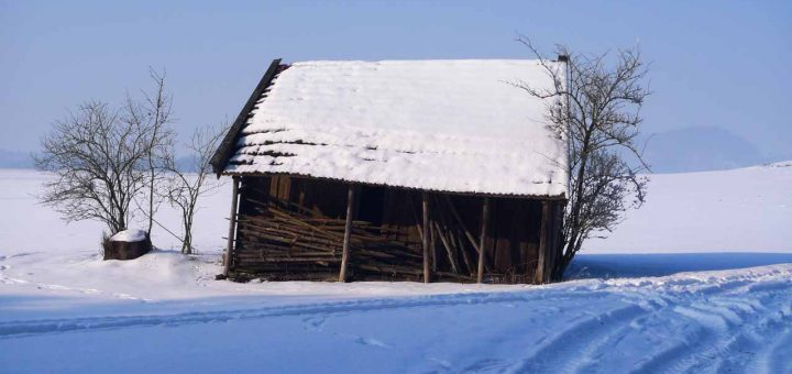 WinterImpressionen Hanne (5 von 6)