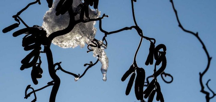 Moosdorf Tauwetter (2 von 10)