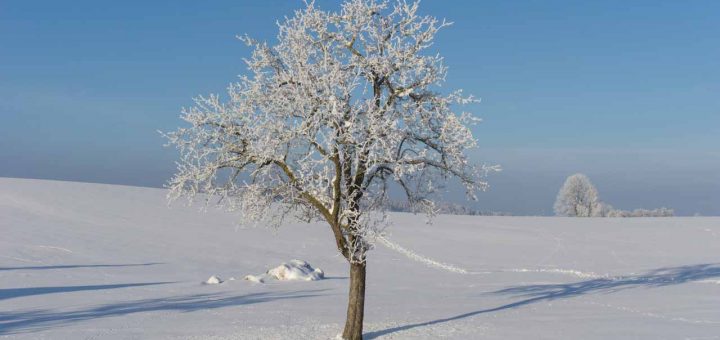 Wintersport Ort Moosdorf (2 von 7)