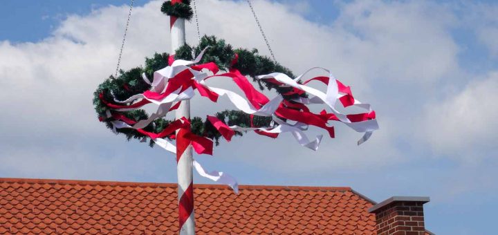 Maibaum19 Mühlbachstraße (2 von 5)