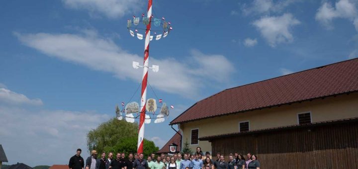 Maibaum LJ 2019 (14 von 17)