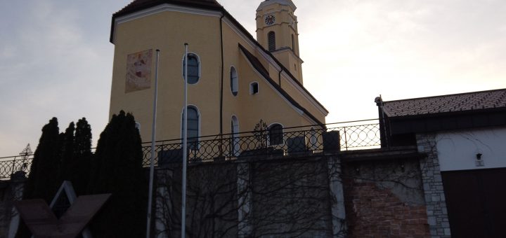 DCIM100MEDIADJI 0693.JPG