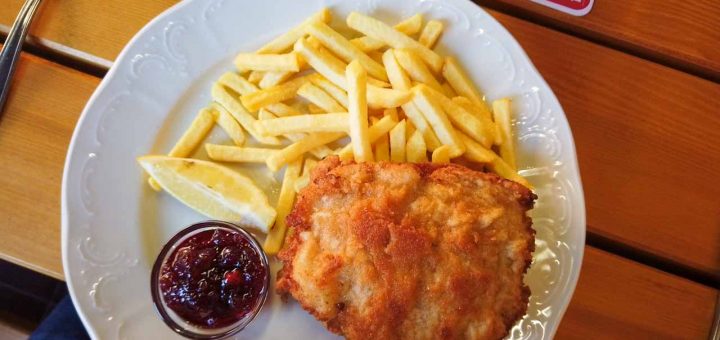 Schnitzel (1 von 1)