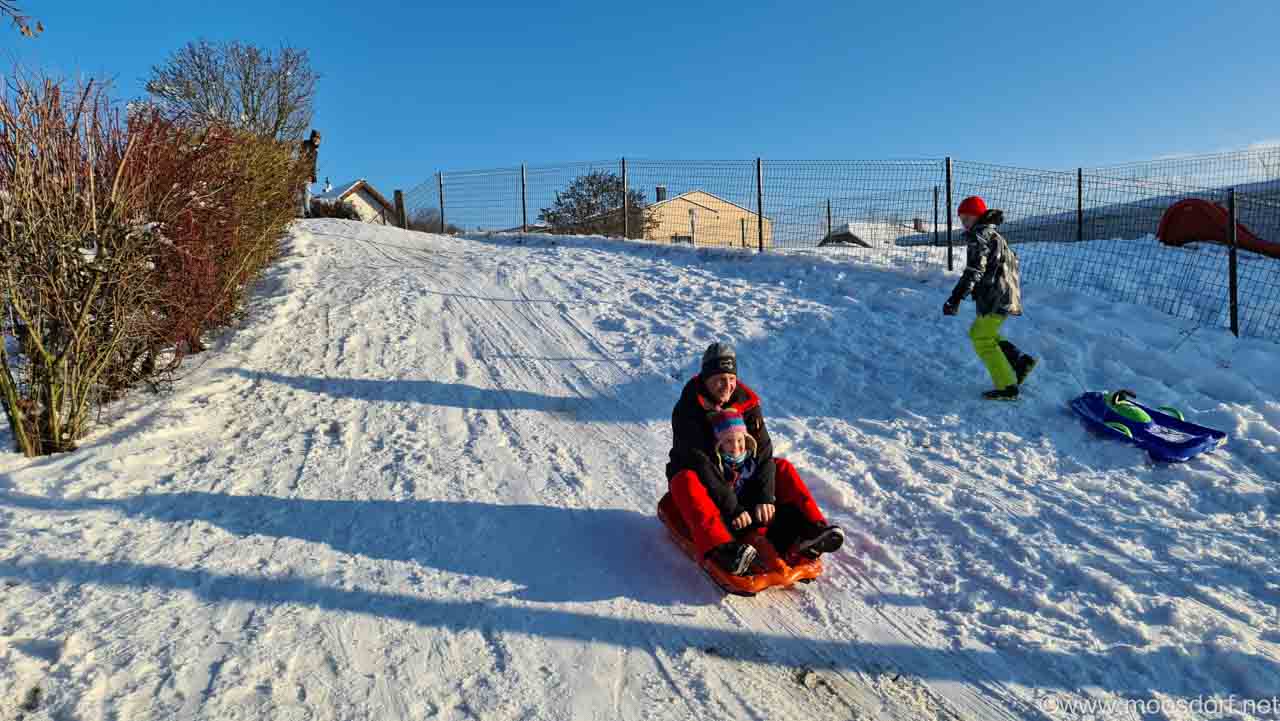 Schlittenfahren Moosdorf (1 von 1)