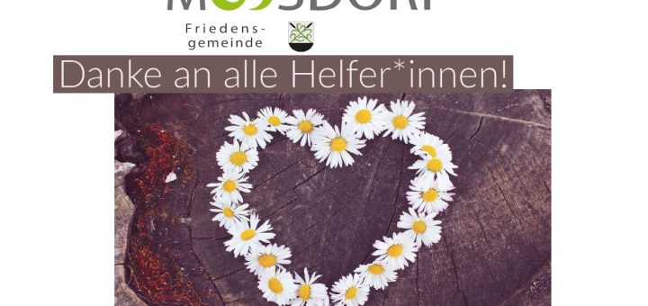 MDL DankeTestung THMB