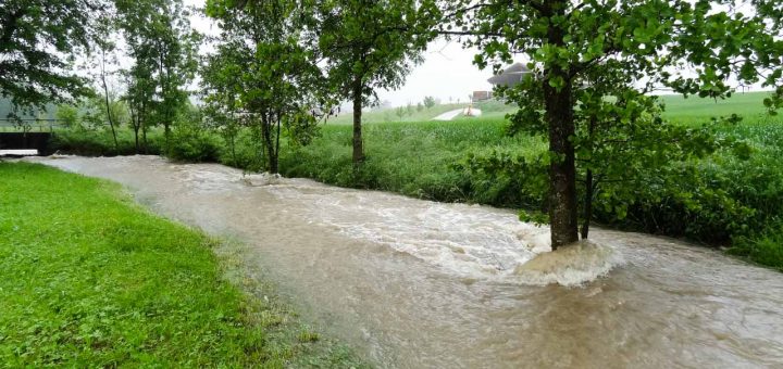 Wasser 2013 (1 von 1)