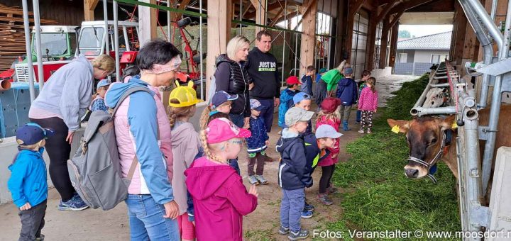 KiGa Bauernhof (18 von 27)