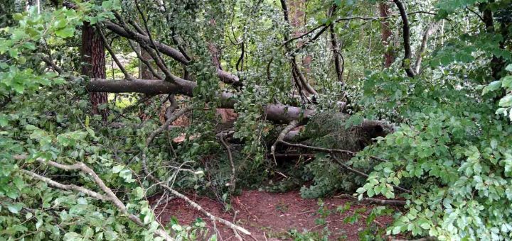 Unwetter 12 07 Moosdorf (11 von 12)