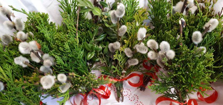 Foto Palmbüscherl MDL