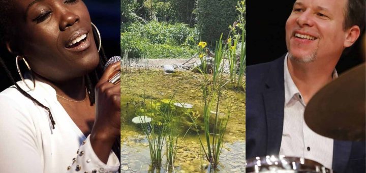 Copy of untitled design 1