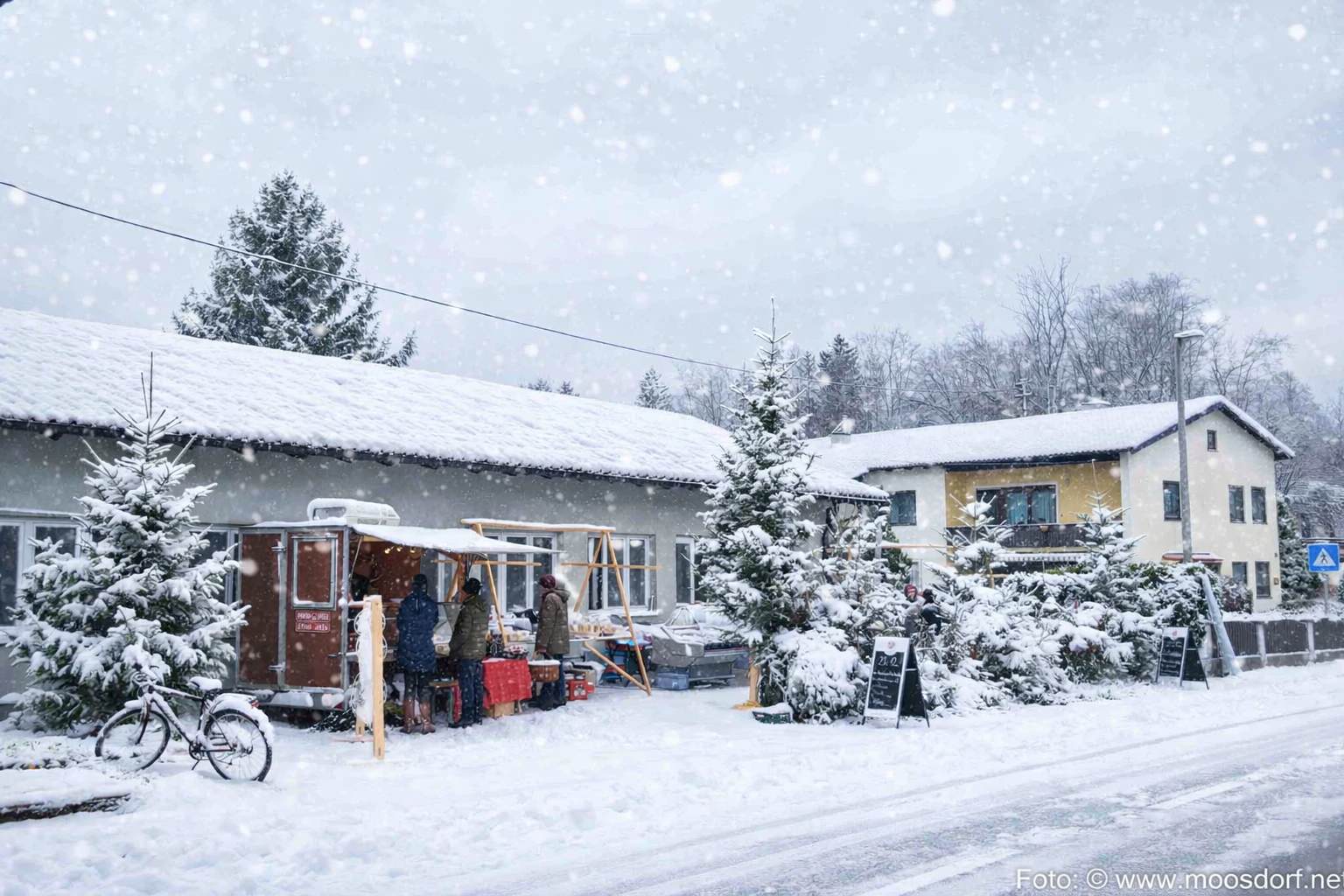 Special Schnee Version