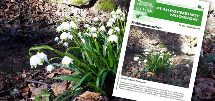 Artikel Bild Pfarrblatt MDL