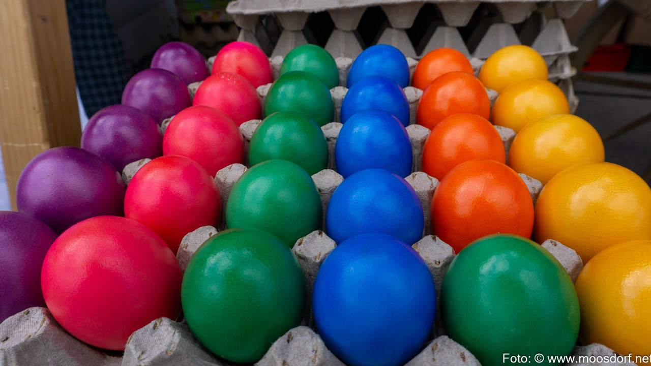 Osterimpressionen (9 von 11)