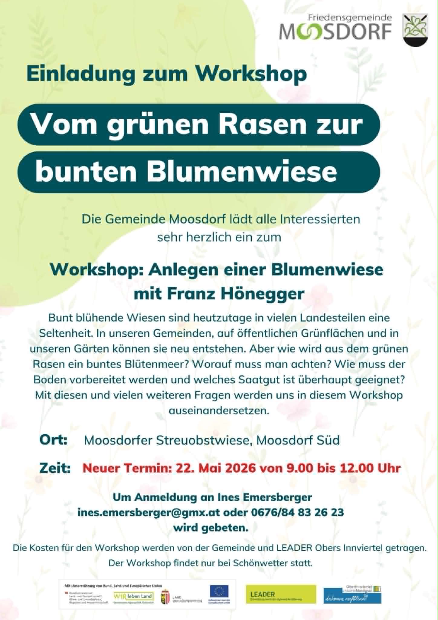 Blumenwiese Infoevent