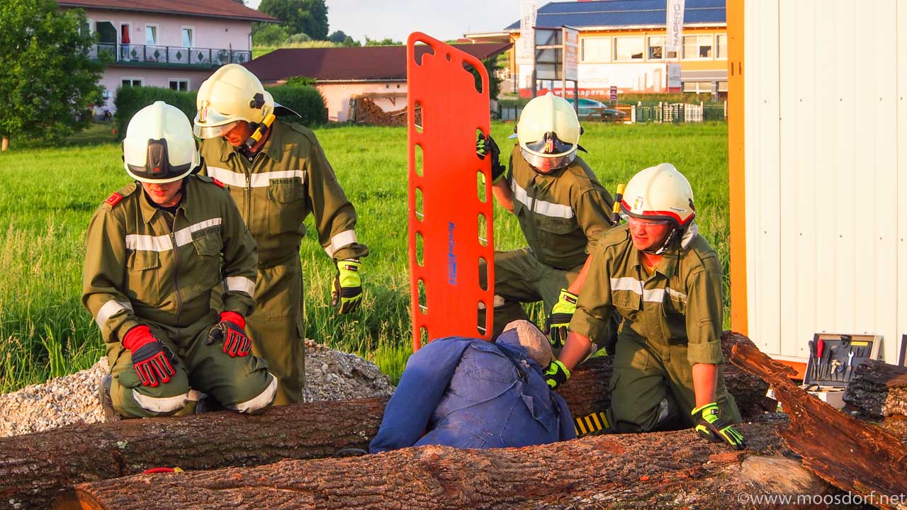 FF Übung Holz 6 von